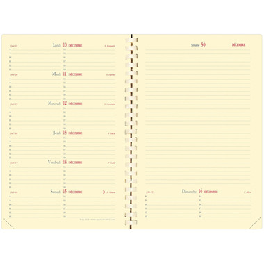 QUO-VADIS Agenda Soho Note15S 2025 679047Q 1S/2P noir FR 10x15cm