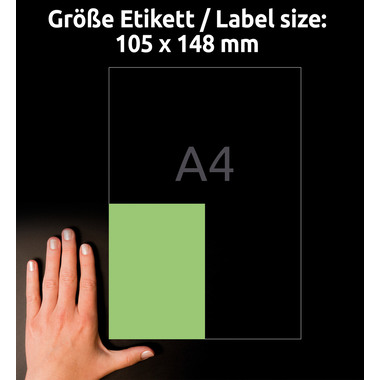 AVERY ZWECKFORM Etiketten 105x148mm 3458 Universal, grün 100Bl.4St.