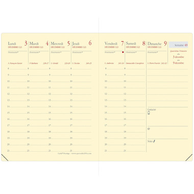 QUO-VADIS Agenda Soho Carla Pre. 2025 368322Q 1W/2S stahlblau FR 8x10.5cm
