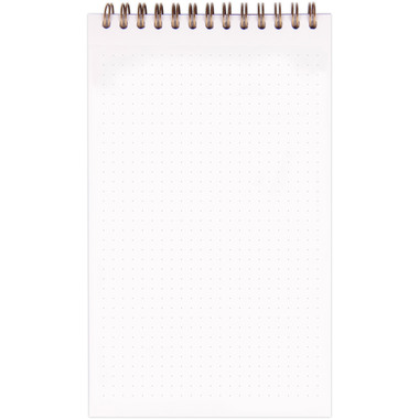 BIELLA Agenda AgeBag non daté 786191C Task M 125 feuilles sw 12x20cm