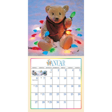 DUMONT Bildkalender 2025 205326 Der Teddybär DE 30x30cm