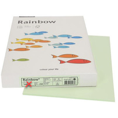 RAINBOW Papier hellgrün/72 A3 88042594 hellgrün, 160g 250 Blatt