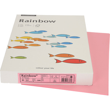 PAPYRUS Rainbow Paper FSC A4 88042542 80g, rosa 500 fogli