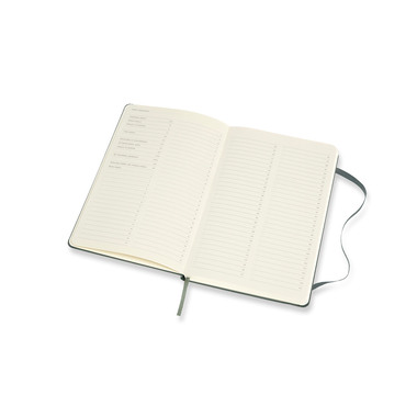 MOLESKINE Notizbuch Pro 21x13cm 620763 waldgrün, 240 Seiten