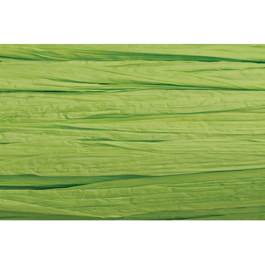 KNORR PRANDELL Rafia 30m 8533042 verdino chiaro mat