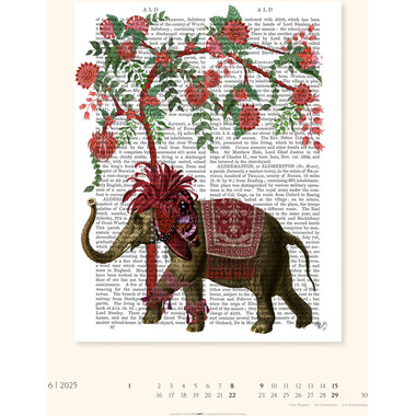 WEINGARTEN Calendario 2025 3312245+25 Vintage Book Art DE 34x44cm