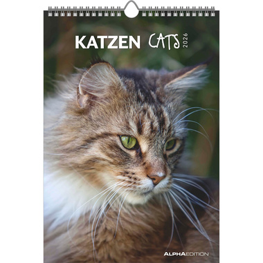 ALPHA EDITION Bildkalender 2026 160493 Katzen ML 23.7x34cm