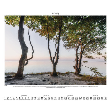 PALAZZI Bildkalender 2025 400068 Nordisches Licht 60x50cm