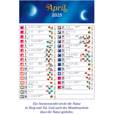 HEYNE Calendrier 2025 45323944 Mondleben DE 33x48.5cm