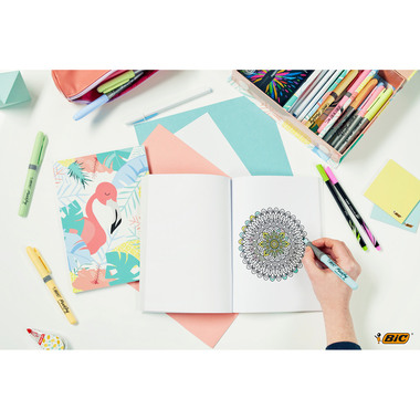 BIC My Stationery Box 972195 25 pcs. ass.