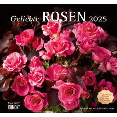 DUMONT Bildkalender 2025 205308 Rosen ML 38x35.5cm