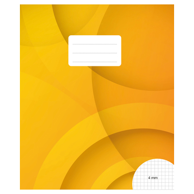 BÜROLINE Cahier d'école E5 533875003 4mm quadrillé sans marge 90g
