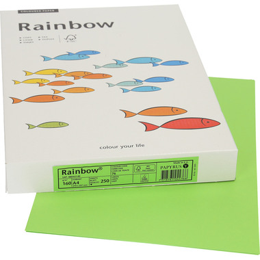 PAPYRUS Rainbow Paper FSC A4 88043140 160g, verde 250 fogli