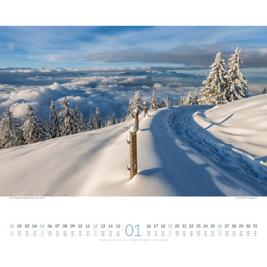 ACKERMANN Bildkalender 2025 2534 Wege ML 54x48cm