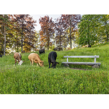 CALENDARIA Calendario 2025 783036204369 Ticino ML 40x31cm