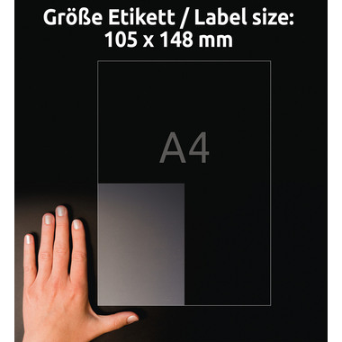 AVERY ZWECKFORM Etiketten L8013-10 Antimic. 105x148mm transp.