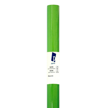 NEUTRAL Papier-cadeau Kraft 445070 70cmx4m vert