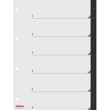KOLMA Register LineaVerde A4 19.800.06 schwarz 1-6
