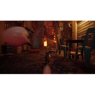GIOCO Stray