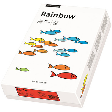 PAPYRUS Rainbow Papier FSC A4 88043110 leuchtend grün, 120g 250 Blatt