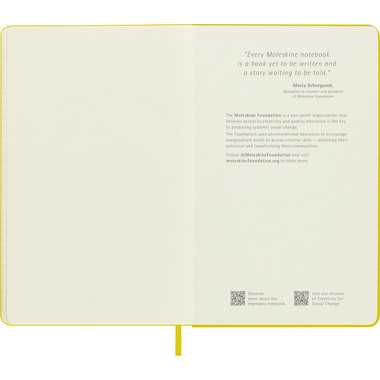 MOLESKINE Notizbuch Color 13x21cm 56598853049 gelb, liniert, 192 Blatt, HC