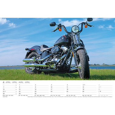 ALPHA EDITION Bildkalender 2025 509424 Harleys ML 42x29.7cm
