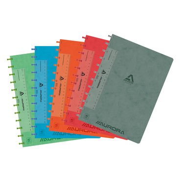 ADOC Cartella ad anelli LIN-EX A4 6845.742 ass., a scacchi 144 pagine