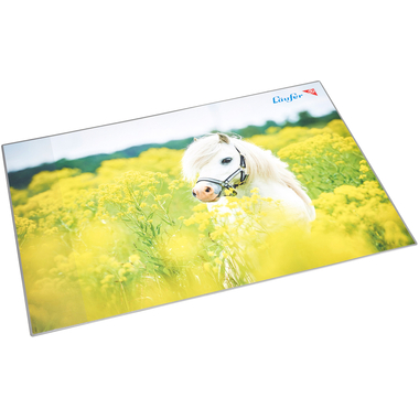 LÄUFER Sottomano 46651 Cavallo sul campo 53x40cm