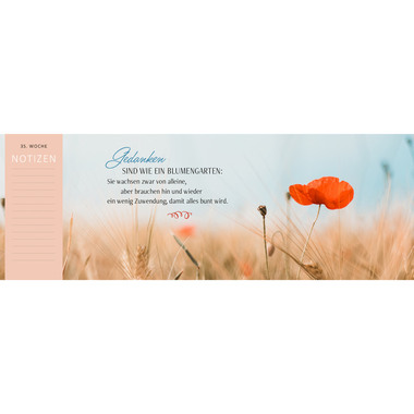 ARS EDITION Tischkalender 2025 13301 Liebl.tag 1W/1S DE 297x115mm