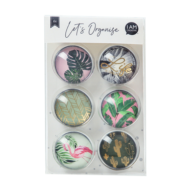 I AM CREATIVE Calamita natura Let`s Organize MAA4035.61 Vetro, 3x1cm 6 pezzi