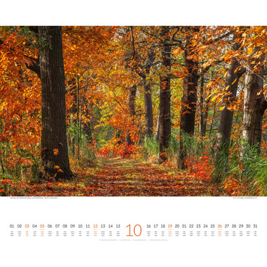 ACKERMANN Bildkalender 2025 2534 Wege ML 54x48cm