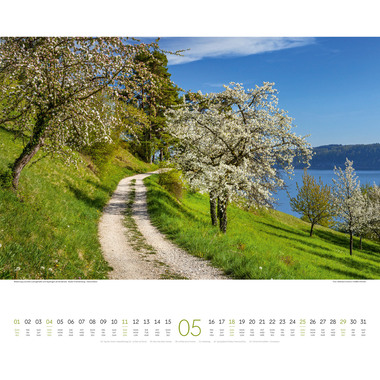 ACKERMANN Bildkalender 2025 2534 Wege ML 54x48cm