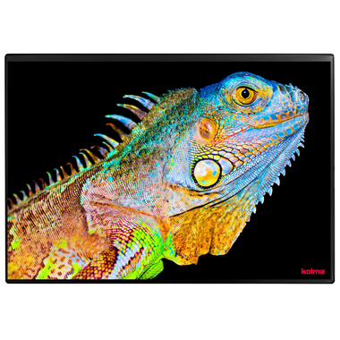 KOLMA Schreibunterlage 35.557.20 Chameleon 50x34cm