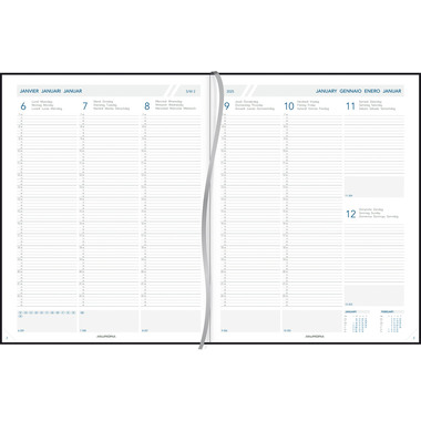 AURORA Agenda Vican PAW 2025 2713 1W/2S ass. ML 21x27cm