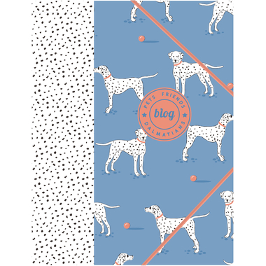 ANCOR Gummibandmappe A4 105438 PET FRIENDS blau
