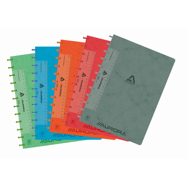 ADOC Cartella ad anelli LIN-EX A4 6811.744 assortiti, rigati 144 pagine