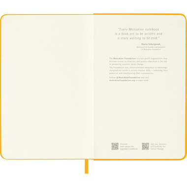 MOLESKINE Notizbuch Color 9x14cm 56598853063 orange, liniert, 192 Blatt