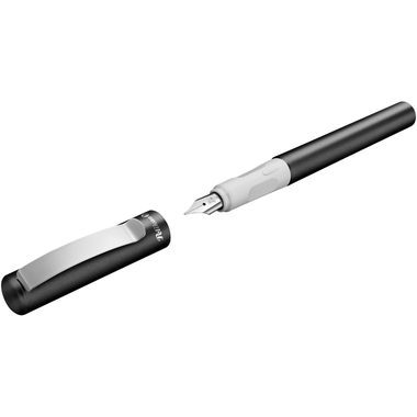 PELIKAN Stylo plume Pina Colada 822350 anthrazit
