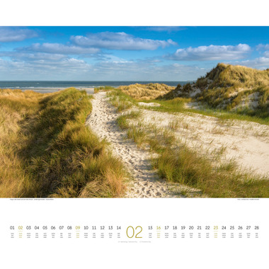 ACKERMANN Bildkalender 2025 2534 Wege ML 54x48cm