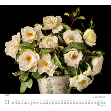 DUMONT Bildkalender 2025 205308 Rosen ML 38x35.5cm