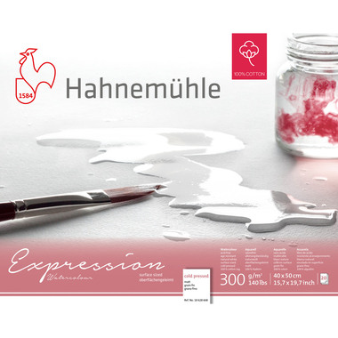 HAHNEMÜHLE Aquarellbl. Expression 40x50cm 10628668 weiss, 300g 20 Blatt
