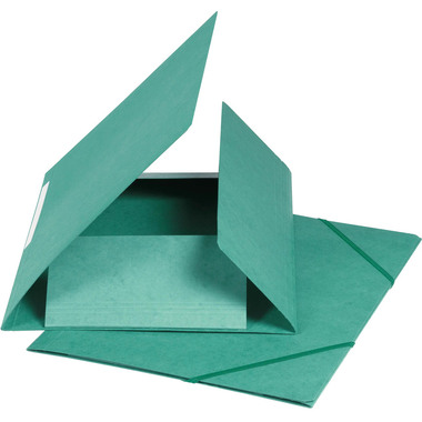 BIELLA Cartella con elastico A4 17840030U verde, 590gm2 220 fg.
