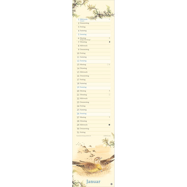 HEYE Edith Holden Natur 2025 1405+25 DE 11x49cm