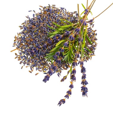 GLOREX Lavendelblüten 4g 61601105 violett