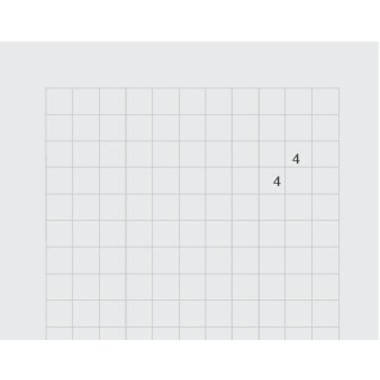 INGOLD-BIWA Cahier UWS A4 02.9420.442 gris 80g 4x4mm RR