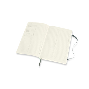 MOLESKINE Notizbuch Pro 21x13cm 620794 waldgrün, 192 Seiten