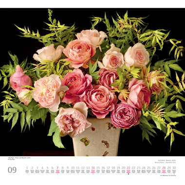 DUMONT Bildkalender 2025 205308 Rosen ML 38x35.5cm