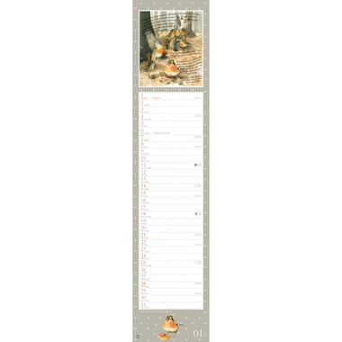 HEYE Monatsplaner M. Bastin 2025 1590+25 DE 11x49cm