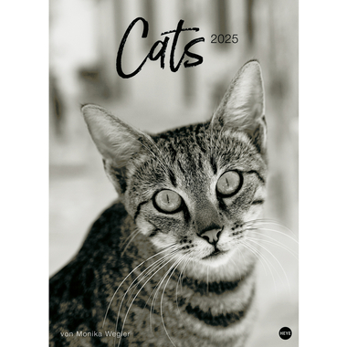 HEYE Bildkalender 2025 22848+25 Wegler Cats Edition DE 49x68cm