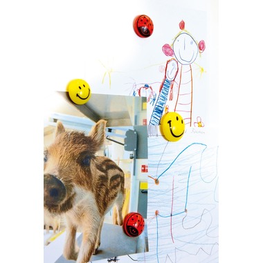 MAGNETOPLAN Smiley Magnete gelb-schwarz 16672 mittel 30mm 6 Stk.